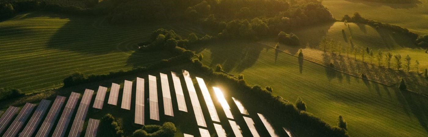 Blogs.Toms Group’s key climate targets approved